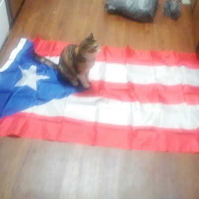 georgespolitzer@monads.online