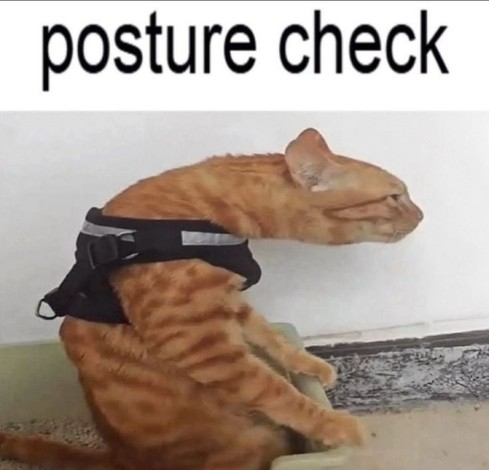 Posted media
